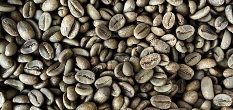 A pile of dried green coffee beans.