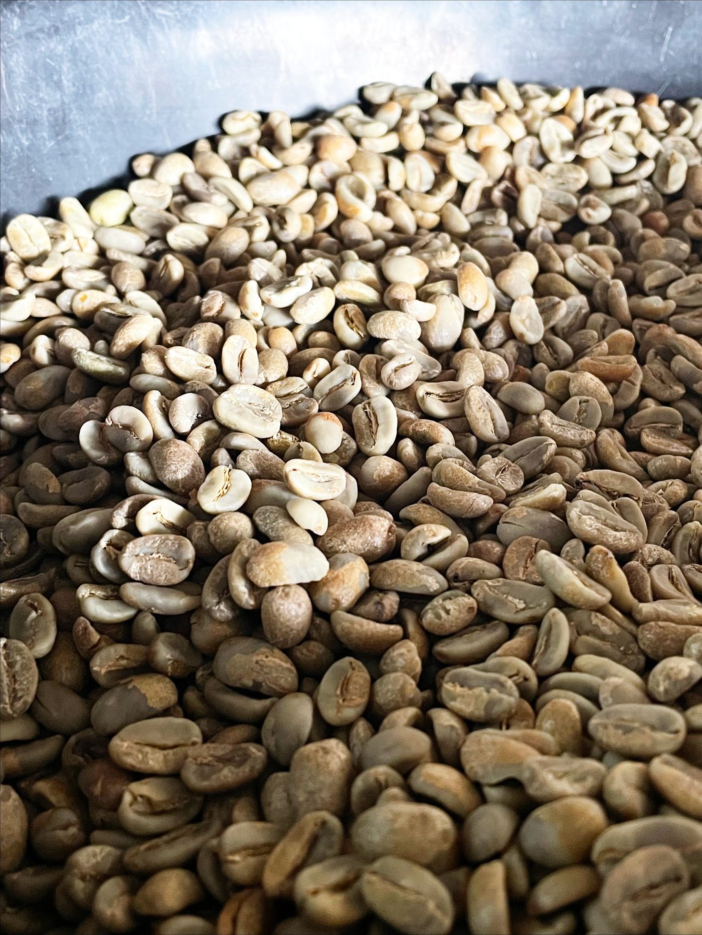 A pile of green coffee beans.