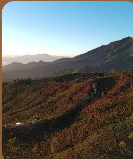 Sunset over terraced hillsides in Central Java.